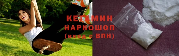 сатива Няндома