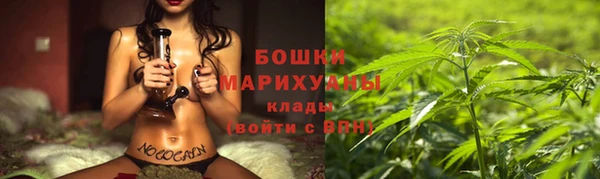 сатива Няндома