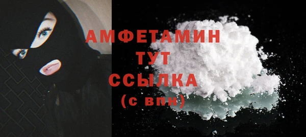 сатива Няндома