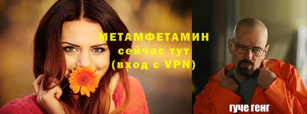 сатива Няндома