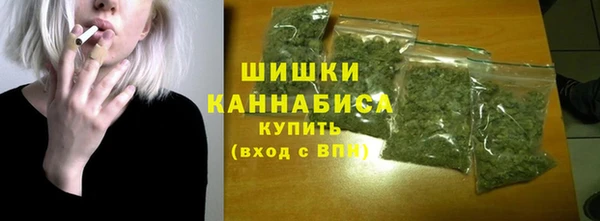сатива Няндома