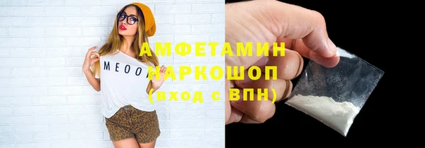сатива Няндома
