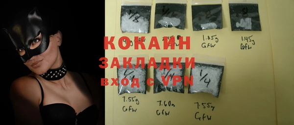 сатива Няндома