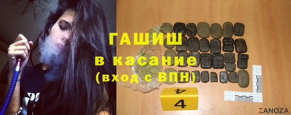 сатива Няндома